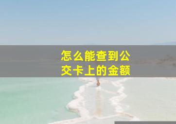 怎么能查到公交卡上的金额