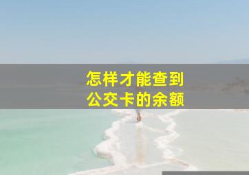 怎样才能查到公交卡的余额