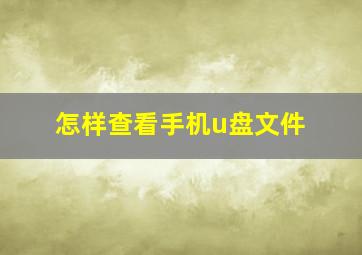 怎样查看手机u盘文件