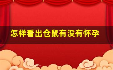 怎样看出仓鼠有没有怀孕