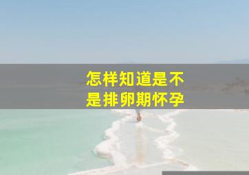 怎样知道是不是排卵期怀孕