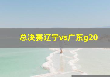 总决赛辽宁vs广东g20