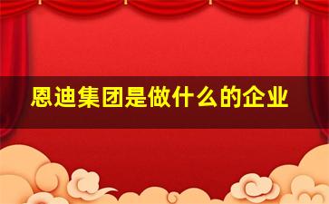 恩迪集团是做什么的企业