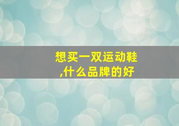 想买一双运动鞋,什么品牌的好