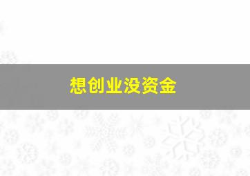 想创业没资金