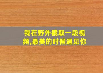 我在野外截取一段视频,最美的时候遇见你