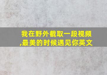 我在野外截取一段视频,最美的时候遇见你英文