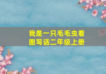 我是一只毛毛虫看图写话二年级上册