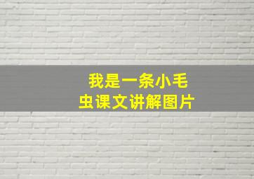 我是一条小毛虫课文讲解图片