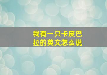 我有一只卡皮巴拉的英文怎么说