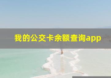 我的公交卡余额查询app