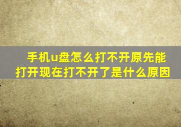 手机u盘怎么打不开原先能打开现在打不开了是什么原因