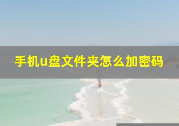 手机u盘文件夹怎么加密码