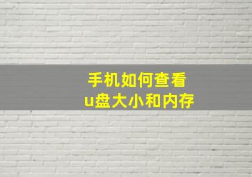 手机如何查看u盘大小和内存