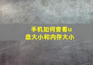 手机如何查看u盘大小和内存大小