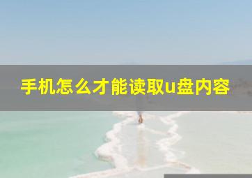 手机怎么才能读取u盘内容