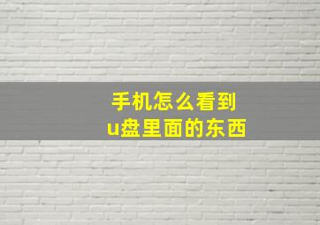 手机怎么看到u盘里面的东西