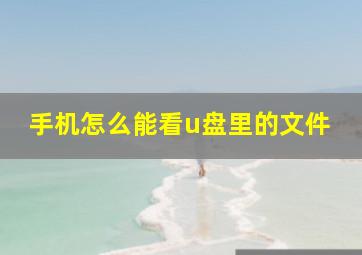 手机怎么能看u盘里的文件