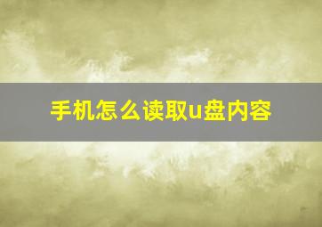 手机怎么读取u盘内容