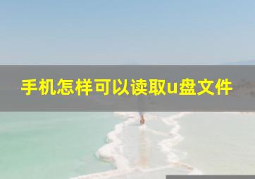 手机怎样可以读取u盘文件