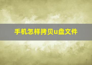 手机怎样拷贝u盘文件