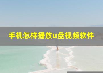 手机怎样播放u盘视频软件