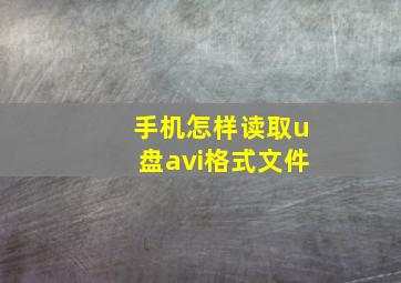 手机怎样读取u盘avi格式文件