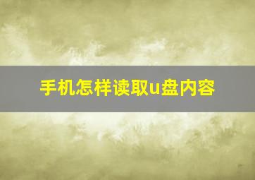 手机怎样读取u盘内容