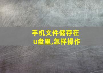 手机文件储存在u盘里,怎样操作