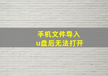 手机文件导入u盘后无法打开