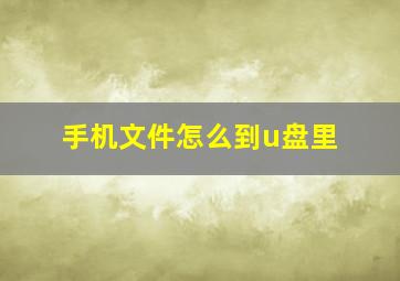 手机文件怎么到u盘里