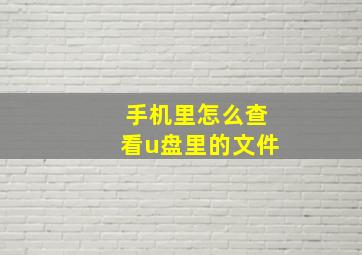 手机里怎么查看u盘里的文件