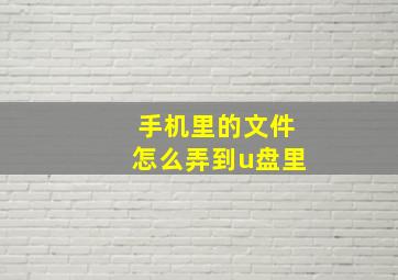 手机里的文件怎么弄到u盘里