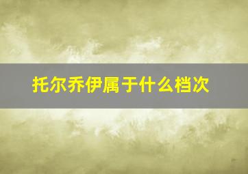 托尔乔伊属于什么档次