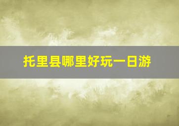 托里县哪里好玩一日游