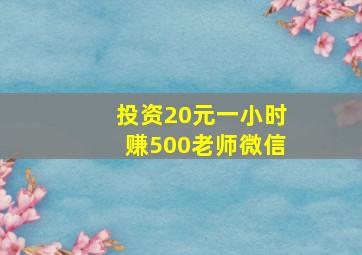 投资20元一小时赚500老师微信