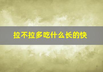 拉不拉多吃什么长的快