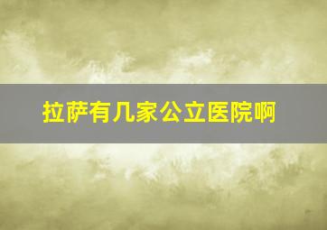 拉萨有几家公立医院啊