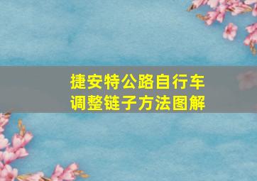 捷安特公路自行车调整链子方法图解