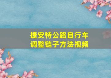 捷安特公路自行车调整链子方法视频