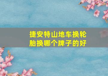 捷安特山地车换轮胎换哪个牌子的好