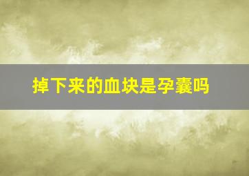 掉下来的血块是孕囊吗