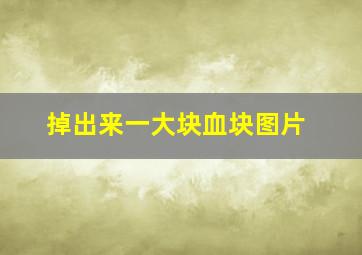 掉出来一大块血块图片