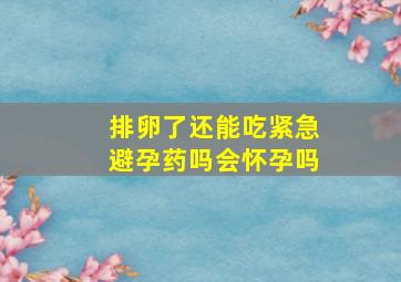 排卵了还能吃紧急避孕药吗会怀孕吗