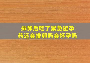 排卵后吃了紧急避孕药还会排卵吗会怀孕吗