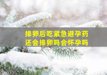 排卵后吃紧急避孕药还会排卵吗会怀孕吗