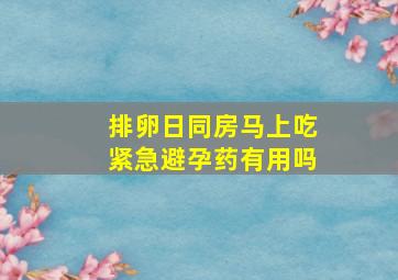 排卵日同房马上吃紧急避孕药有用吗