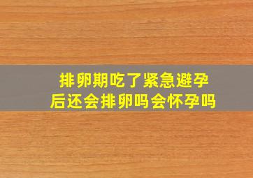 排卵期吃了紧急避孕后还会排卵吗会怀孕吗