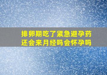 排卵期吃了紧急避孕药还会来月经吗会怀孕吗