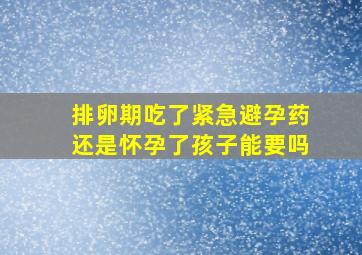 排卵期吃了紧急避孕药还是怀孕了孩子能要吗